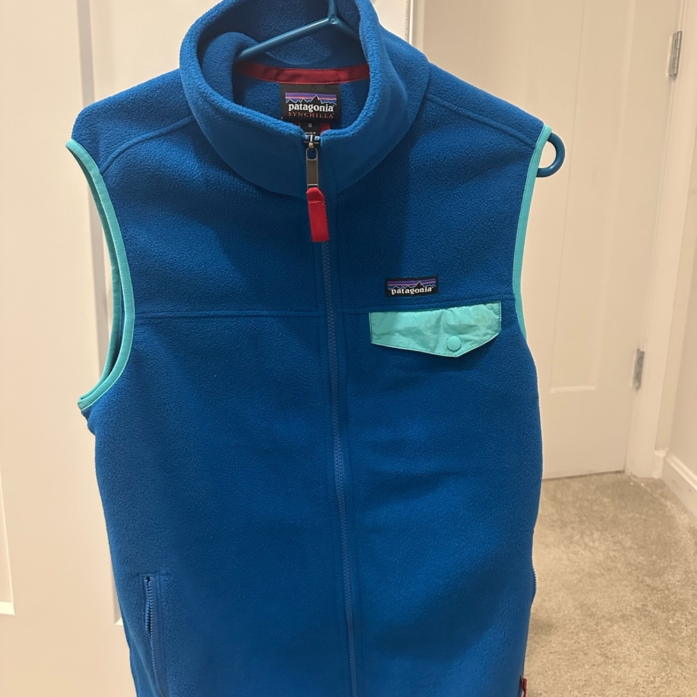 Patagonia Men’s Blue Synchilla Fleece Vest